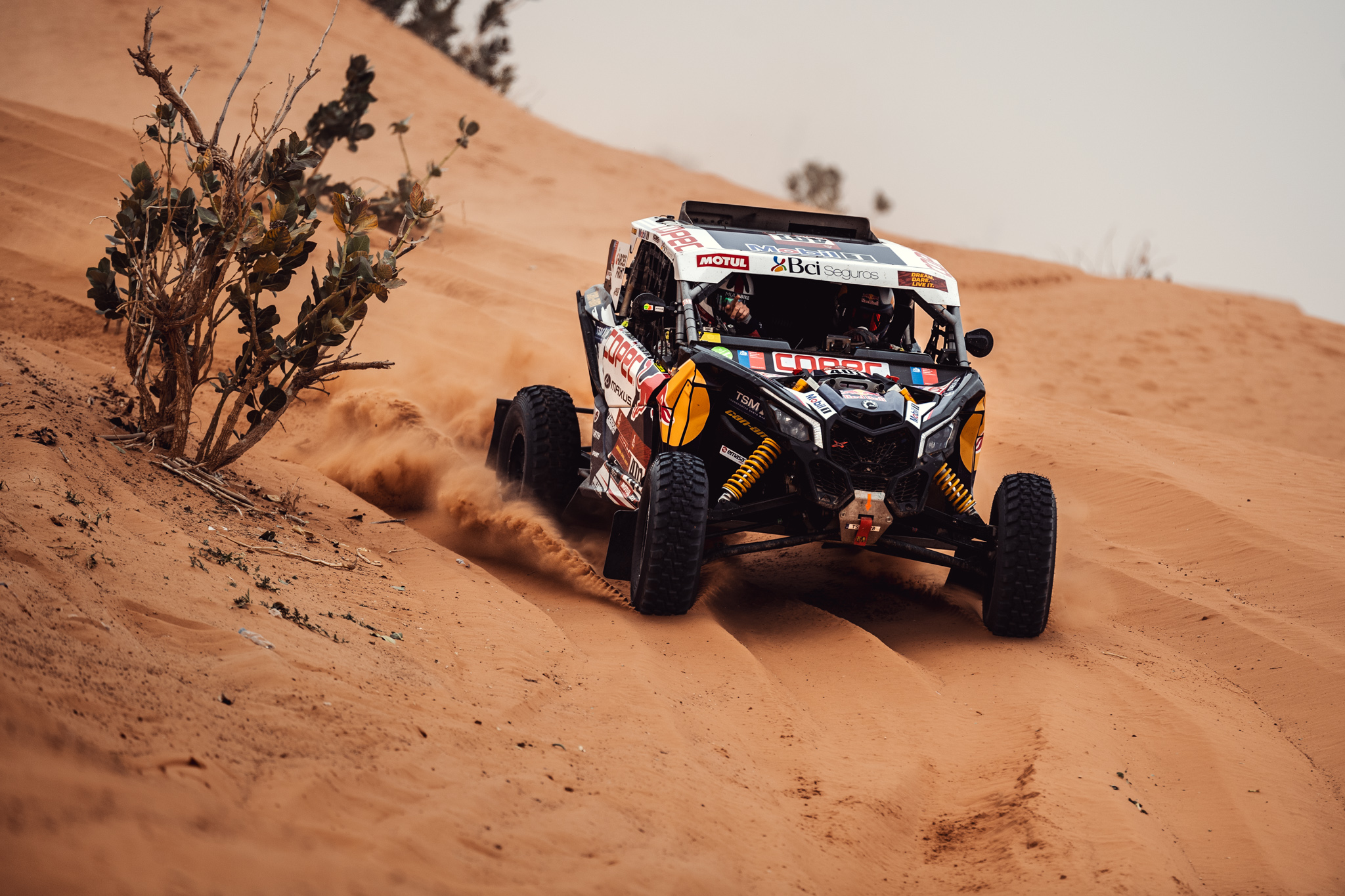 Francisco López mantiene tranco ganador en la prueba madre del rally