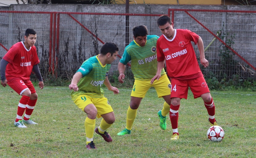 Clubes del peloteo local tienen mansa opción: Arauco inició campaña que busca mejorar los templos deportivos