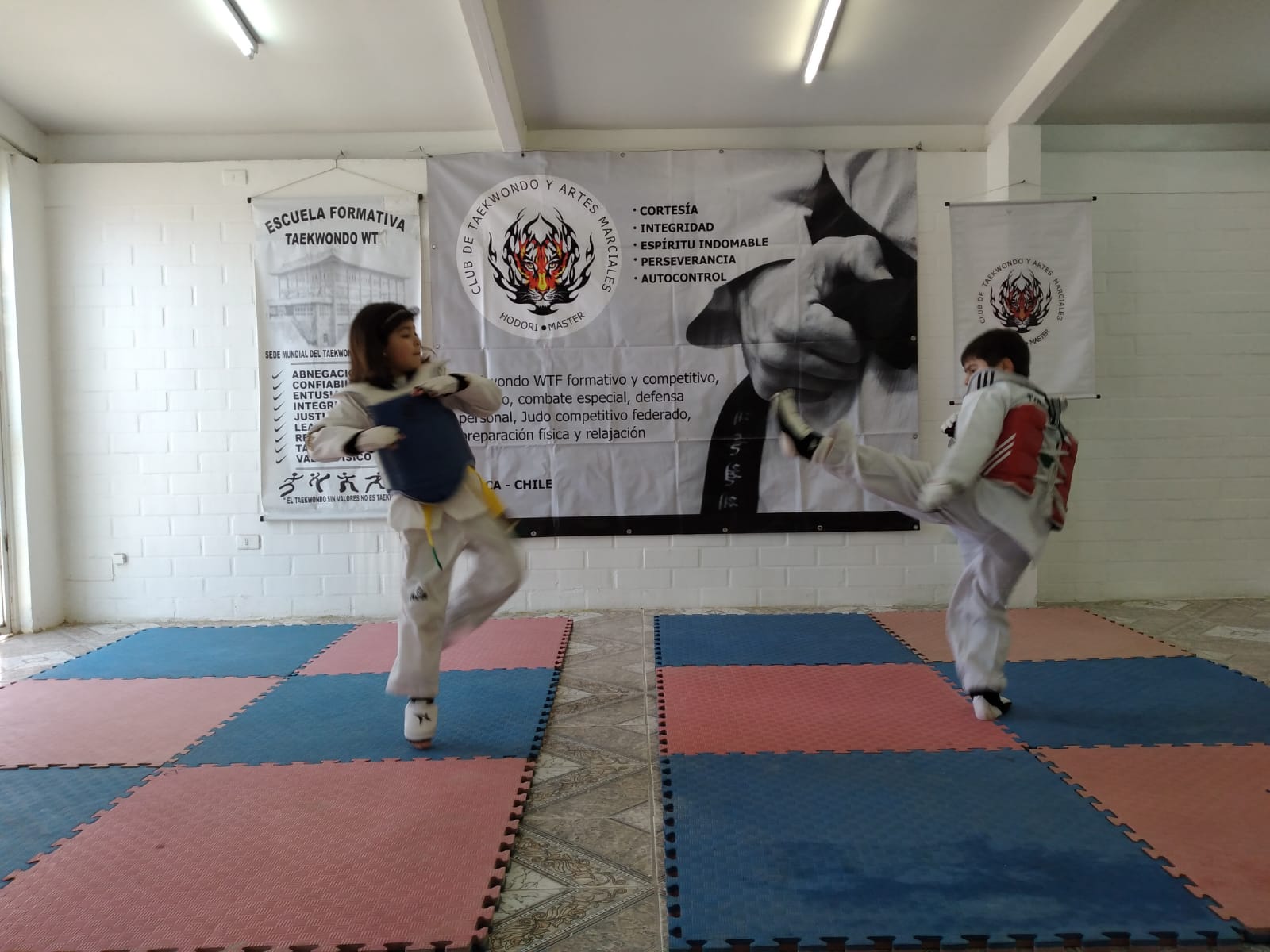 Club Hodori Máster se mantiene en actividad y masificando el taekwondo en Talca