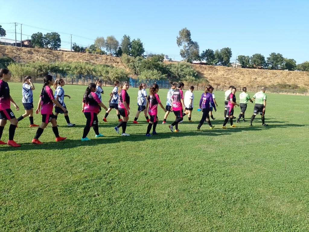 La pelotita volvió al ruedo en la Liga Femenina del Maule 