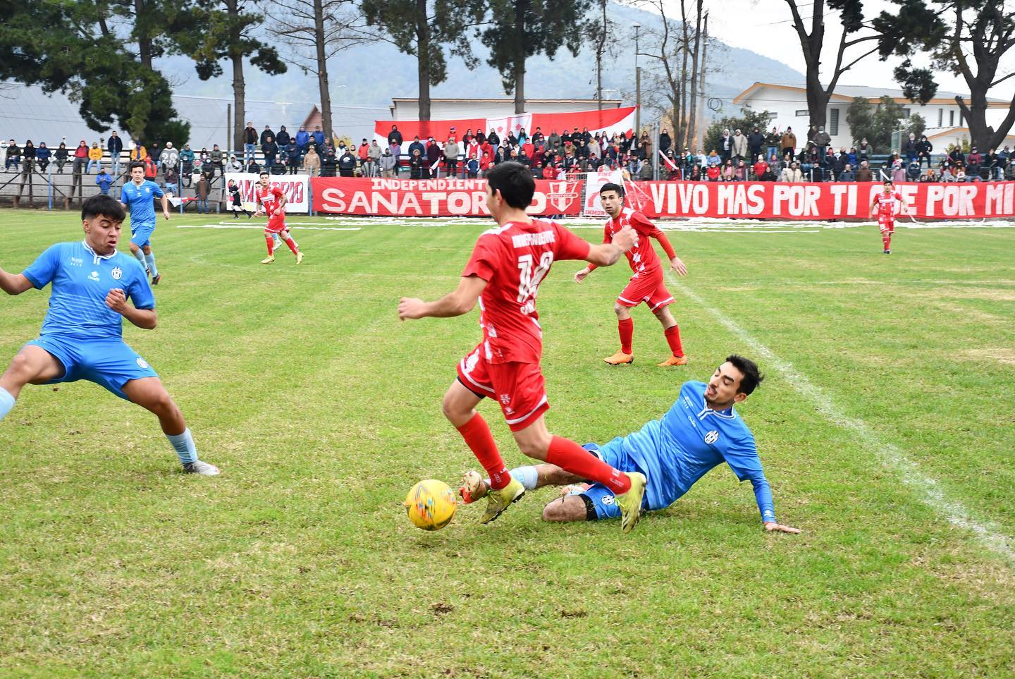 ANFA Maule cortó el queque en relación al finde de Champions maulina