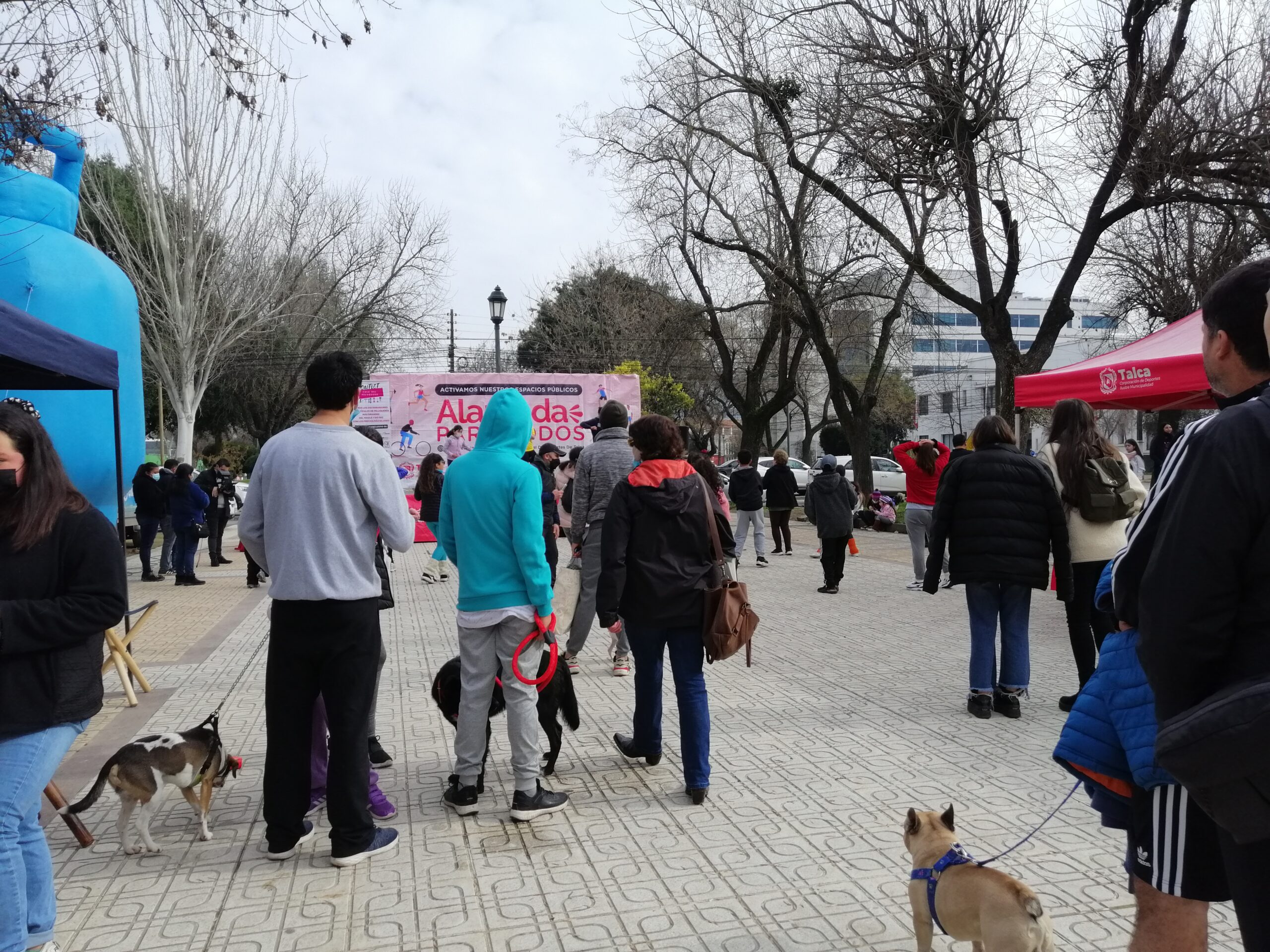 Caminata con mascotas destacó en otra versión de “Alameda para todos”