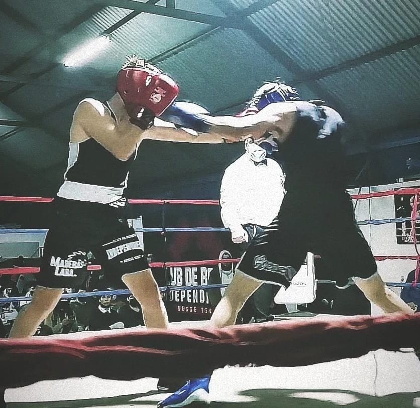 Pugilistas se subirán al ring en nueva velada de box en Talca