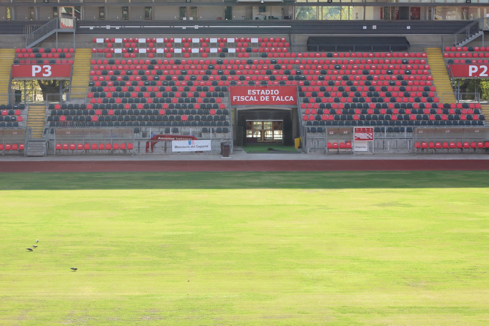 Estadio Fiscal de Talca albergaría duelo de equipo metropolitano