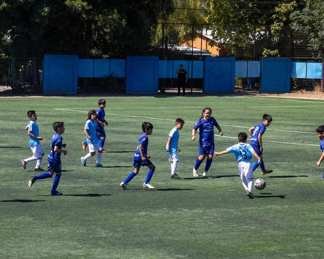 Decana talquina va por su tercera patita en brocas y adultos