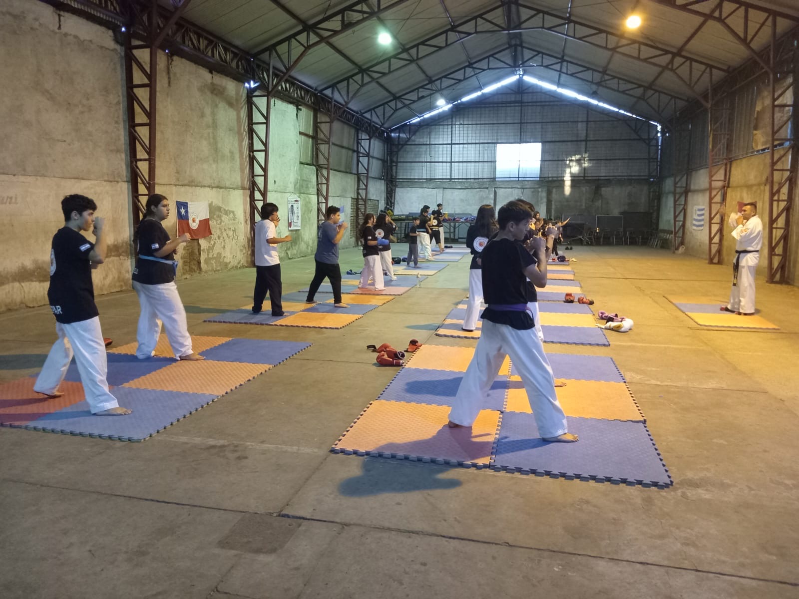 Academia de artes marciales mixtas busca recursos para participación internacional