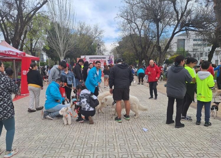 Alameda para todos será con corrida familiar con mascotas en Talca