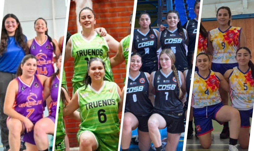Elencos maulinos cumplieron una destacada jornada en la séptima fecha de la LNF2